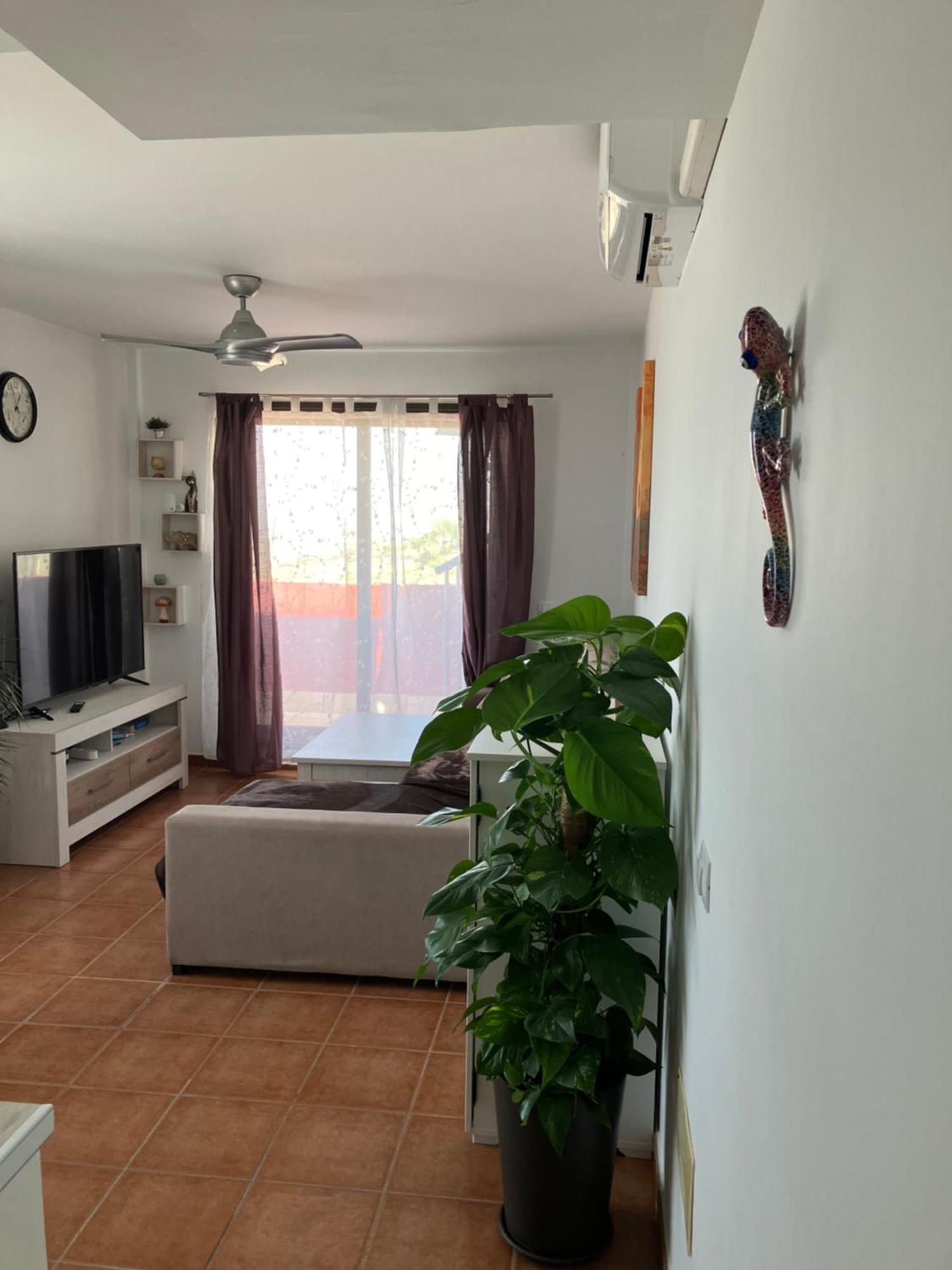 Apartmán Narancsvirag Tejina de Isora Exteriér fotografie