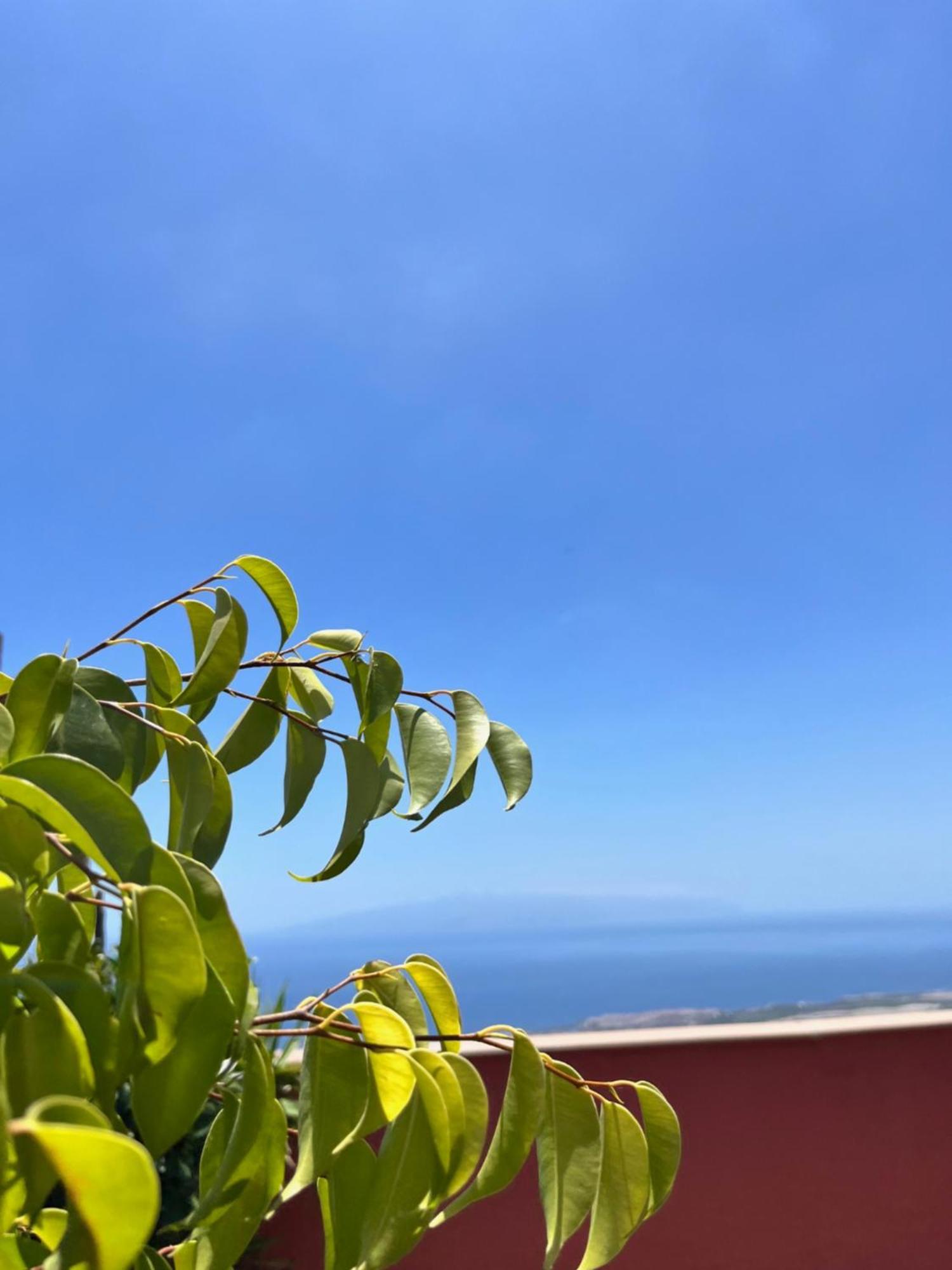 Apartmán Narancsvirag Tejina de Isora Exteriér fotografie